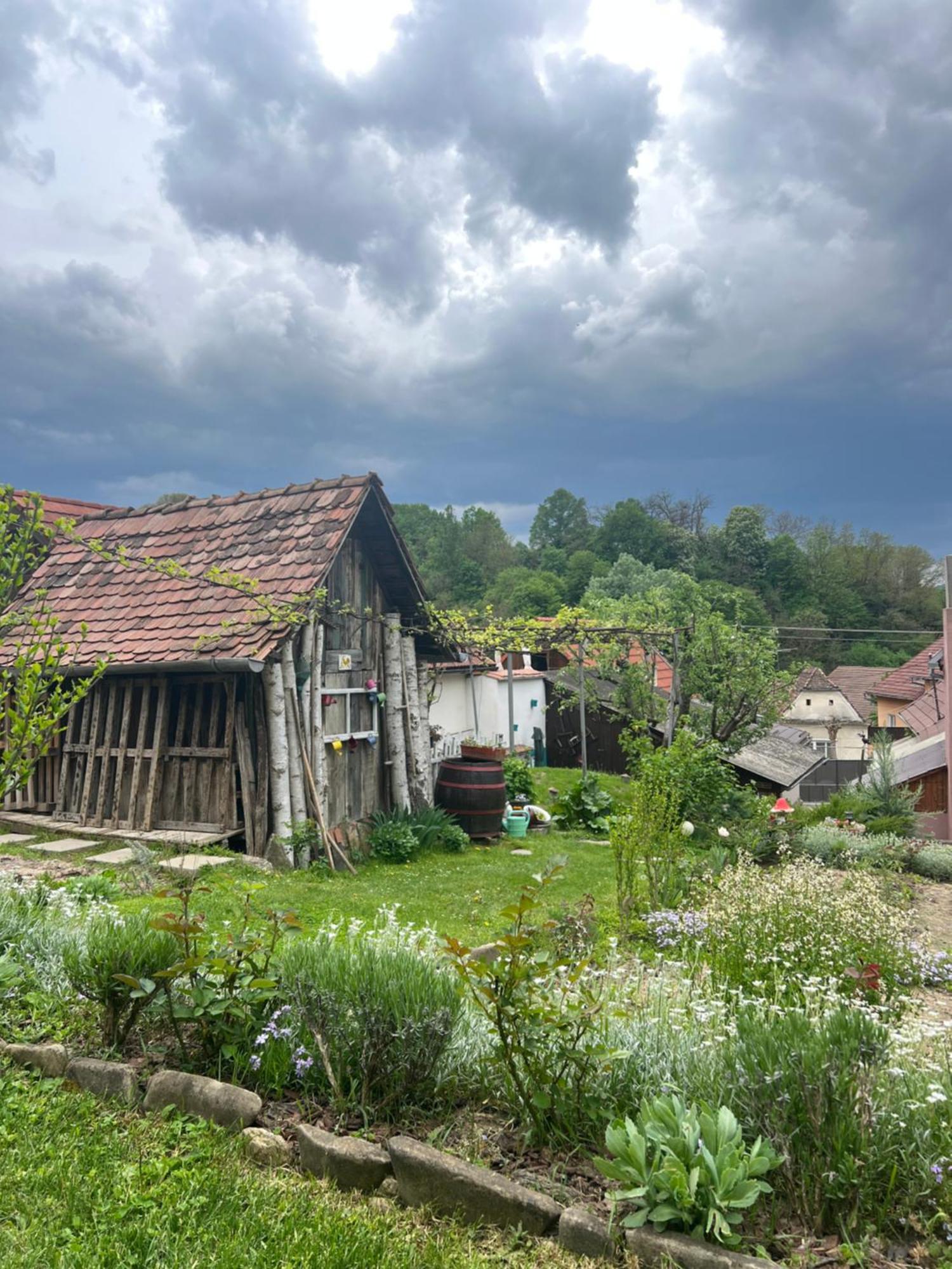 Casa Santa Villa Sighişoara Eksteriør bilde